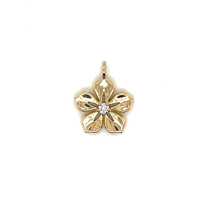 Pendentifs: